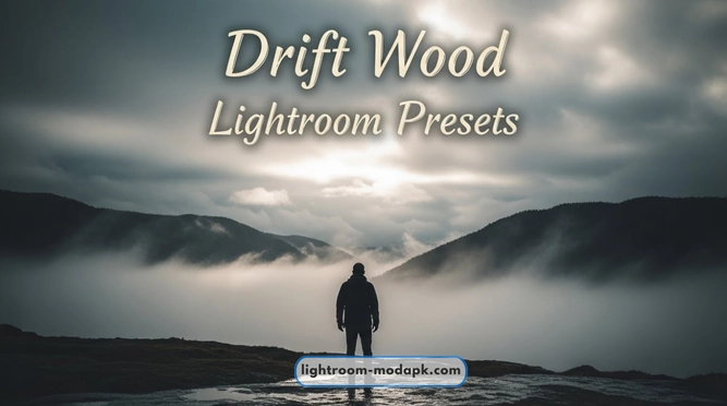 Drift Wood Lightroom Presets