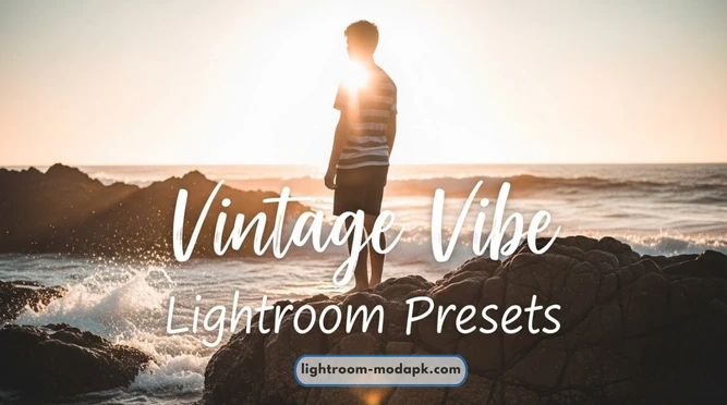 Vintage Vibe Lightroom Presets