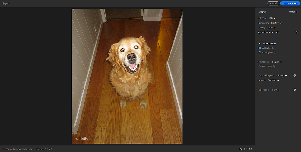 Exporting Photos from Lightroom Desktop